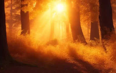 What is the Wood Element in TCM? Unlocking the Secrets of Vitality and Growth