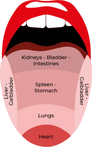 Tongue Diagnosis